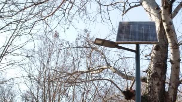 太阳能电池板 在阳光明媚的日子里 用路灯供电和收集太阳能 — 图库视频影像