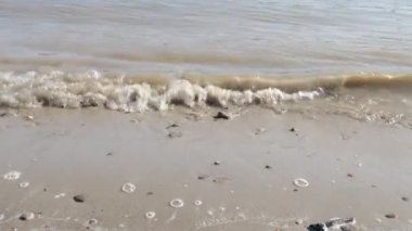 Kirli nehrin dalgaları kumlu sahile su sıçratıyor.