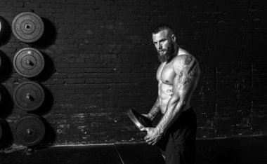 Genç, aktif, terli, güçlü, kaslı, elinde halterli ağırlık plakası tutan kaslı bir adam spor salonundaki ağır çapraz omuz antrenmanına hazırlanıyor.