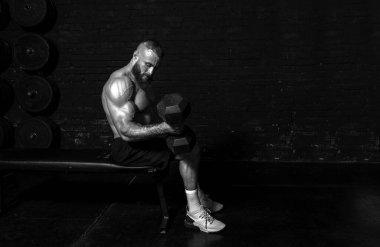 Genç, aktif, güçlü, terli, kaslı, iri kaslı bir adam bankta oturuyor ve spor salonunda dambıllarla antreman yapıyor.