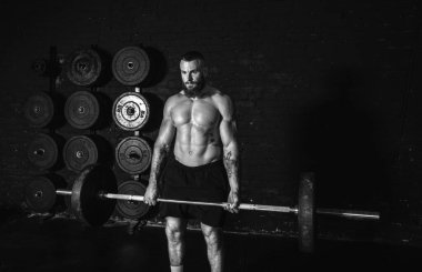 Genç, aktif, terli, güçlü, kaslı, halterle ağırlık kaldıran, ağırlık kaldıran, spor salonunda ağırlık kaldıran ya da ağırlık kaldırma antrenmanına başlayan kaslı bir adam.