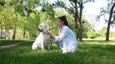Parkta köpeği Golden Labrador Retriever ile güzel bir kadın burnuna karahindiba poleni üflerken eğleniyor.