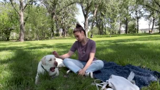 Junge Schöne Frau Sitzt Park Auf Dem Gras Mit Ihrem — Stockvideo