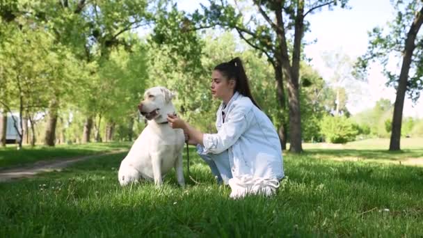 Jeune Belle Femme Avec Son Chien Golden Labrador Retriever Dans — Video