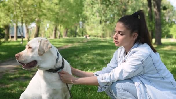 Wanita Cantik Muda Dengan Anjing Peliharaannya Labrador Emas Retriever Taman — Stok Video