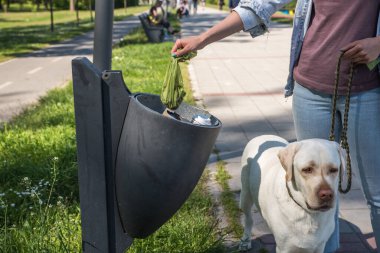 Genç bir kadın, köpeğinin arkasından topladığı altın Labrador Retriever 'ı gezdirirken ve şehrin sokaklarını temiz tutmak için çöp kutusuna dışkısını koyar.