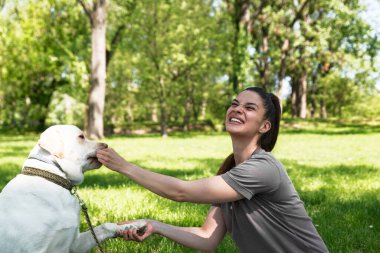 Genç ve güzel bir kadın evcil köpeğiyle parkta oturur ve ona bir Labrador Retriever öğretmeye çalışır ve onu bir kurabiye ile ödüllendirerek pençe atmayı öğretir.