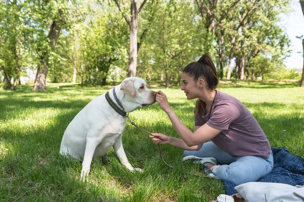 Jovem Mulher Bonita Brincando Parque Com Seu Cão Estimação Golden — Fotografia de Stock