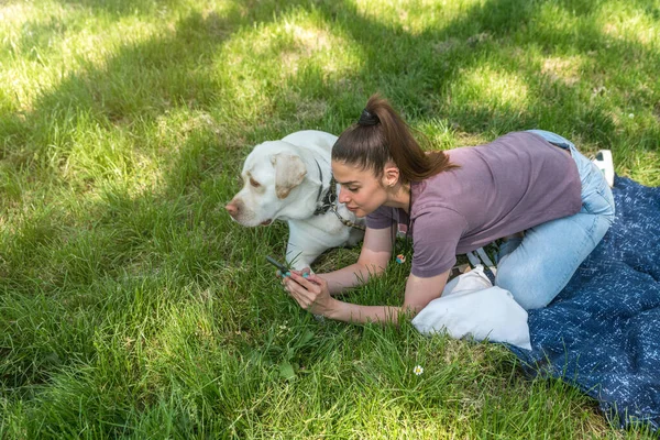 Junge Schöne Frau Spielt Park Mit Ihrem Hund Golden Labrador — Stockfoto