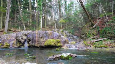 Romanya 'nın Nera Nehri Şelaleleri ve Şelaleleri (Cheile Nerei Beusnita) Ulusal Parkı, Romanya. Vadide yürüyüş yapmak ve zümrüt havuzlarını keşfetmek. Romen güzelliği ve doğası.