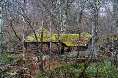 Romanya 'nın Nera Nehri Şelaleleri ve Şelaleleri (Cheile Nerei Beusnita) Ulusal Parkı, Romanya. Vadide yürüyüş yapmak ve zümrüt havuzlarını keşfetmek. Romen güzelliği ve doğası.