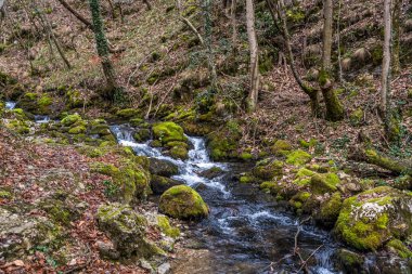Romanya 'nın Nera Nehri Şelaleleri ve Şelaleleri (Cheile Nerei Beusnita) Ulusal Parkı, Romanya. Vadide yürüyüş yapmak ve zümrüt havuzlarını keşfetmek. Romen güzelliği ve doğası.
