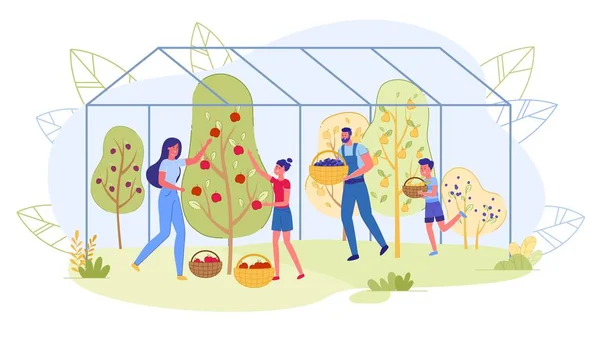 Saisonnière Fruit Picking Family Greenhouse Products Les Parents Les Enfants — Image vectorielle
