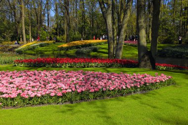 Turistler ve bahar renkli Lale Keukenhof Park, Hollanda