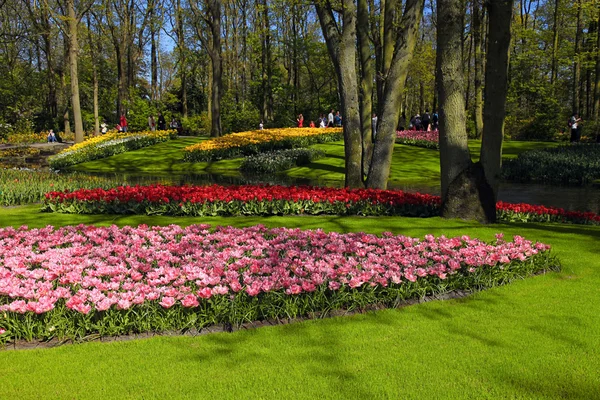 Turister och färgade tulpaner på våren i Keukenhof parken, Nederländerna — Stockfoto