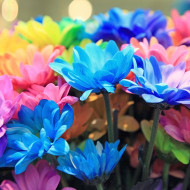 Çiçeği gökkuşağı krizantem Çiçek demetleri
