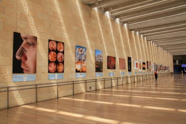 Ben Gurion Uluslararası Havaalanı, Tel Aviv, İsrail. 