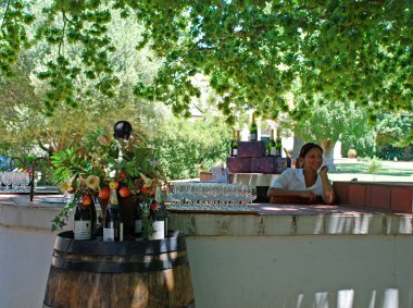 şarap tadımı manzarası şarap çiftliği, Güney Afrika
