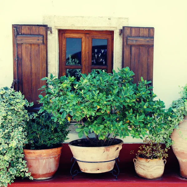 Janelas e vasos de flores (Creta, Grécia) ) — Fotografia de Stock