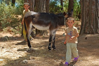 eşek, Türkiye ile yerel çocuk