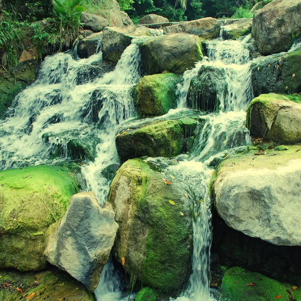 Primo piano cascata con pietre e muschio — Foto Stock