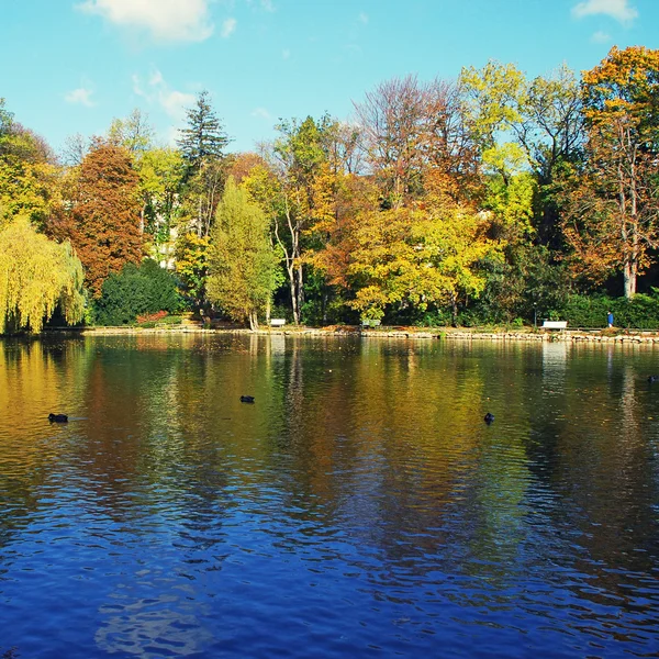 Staw i autumn drzewa — Zdjęcie stockowe