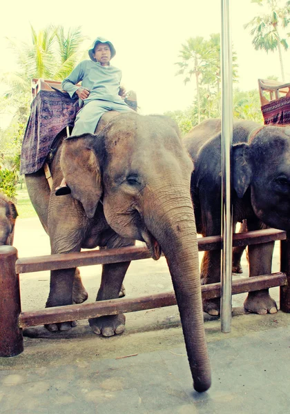 Mahout y elefante en el Elephant Safari Park, Bali — Foto de Stock