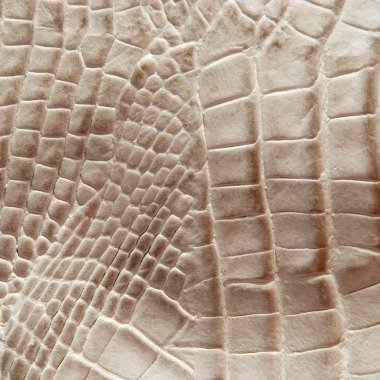 Timsah derisi dokusu 