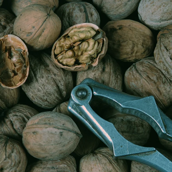 Walnut and nut cracker — Stock Photo, Image