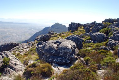  Table Dağı, Cape Town, Güney Afrika