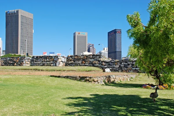 Stadspark en weergave van Downtown van Cape Town, Zuid-Afrika. — Stockfoto