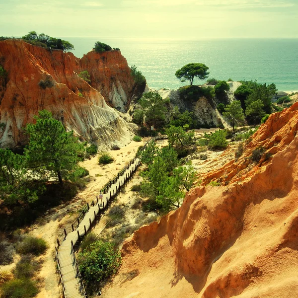 Falésias vermelhas, pinho e escadaria de madeira (Algarve, Portugal ) — Fotografia de Stock