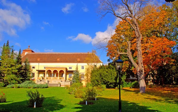 Jardim de outono e gramado — Fotografia de Stock