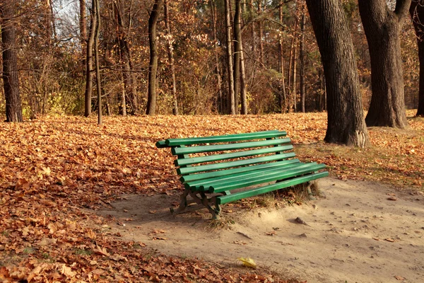 Bänke im Herbstpark — Stockfoto