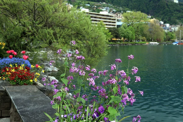 Kwiaty i Jezioro Genewskie, Montreux — Zdjęcie stockowe