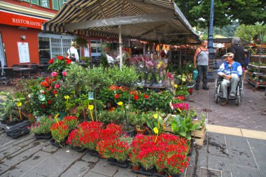 çiçek pazarı Cours Saleya Nice üzerinde