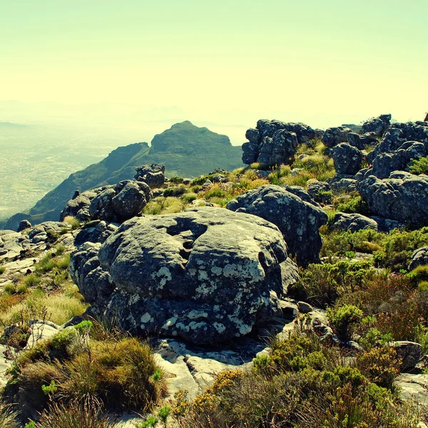 Tafelberg, Kaapstad, Zuid-Afrika — Stockfoto