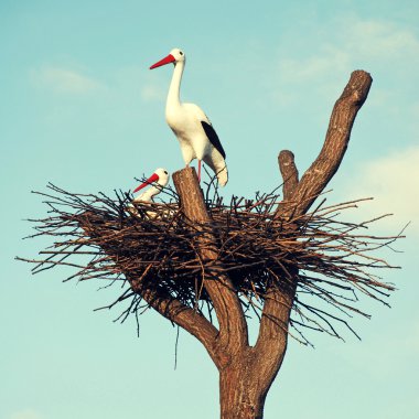 storks in the nest clipart