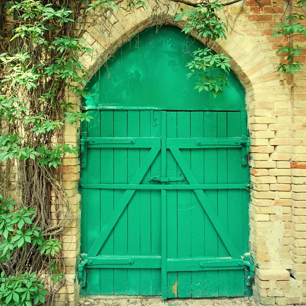 Vieille porte verte en bois — Photo