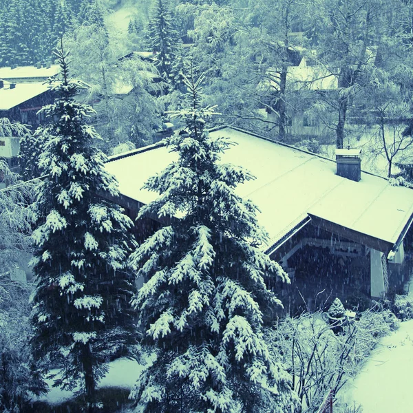 Вертикальный зимний пейзаж в Тирольских Альпах — стоковое фото