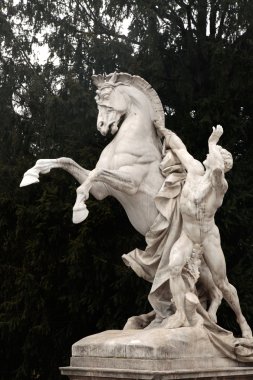 At heykeli, Hofburg karmaşık, Viyana, Avusturya