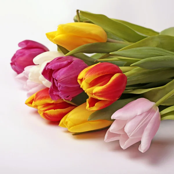 Πολύχρωμο μπουκέτο από δροσερά Ανοιξιάτικα λουλούδια τουλίπα — Φωτογραφία Αρχείου