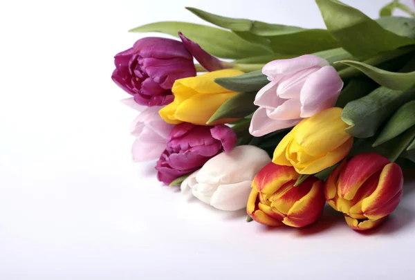 Bouquet colorato di fiori di tulipano primaverili freschi — Foto Stock