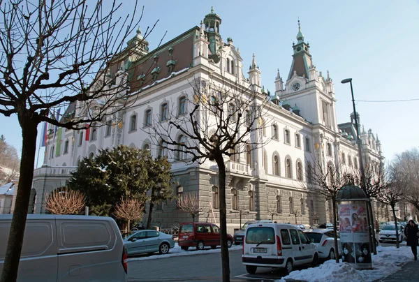 Oude stad en de Universiteit van Ljubljana, Slovenië — Stockfoto