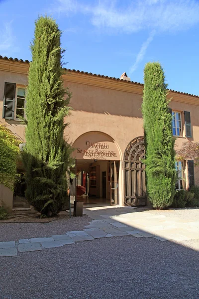 Viña Chateau Sainte Roseline en Provenza — Foto de Stock