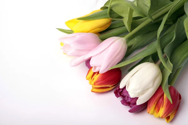 Bouquet colorato di fiori di tulipano primaverili freschi — Foto Stock