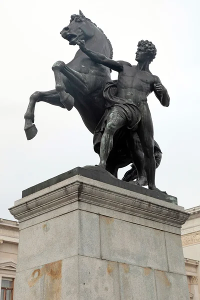 Statua konia, Hofburg złożonych, Wiedeń, Austria — Zdjęcie stockowe