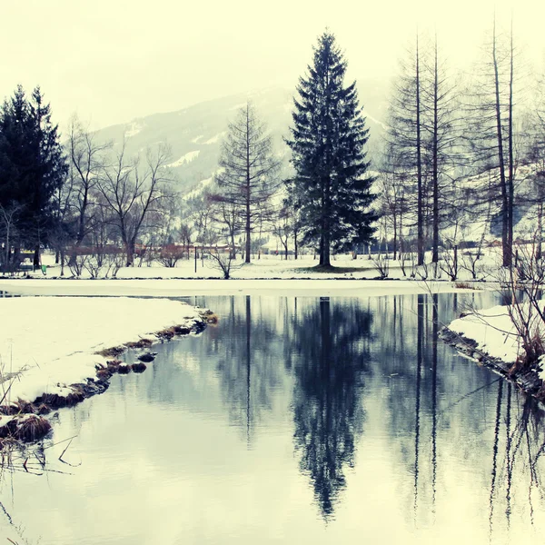 Kış gölet — Stok fotoğraf
