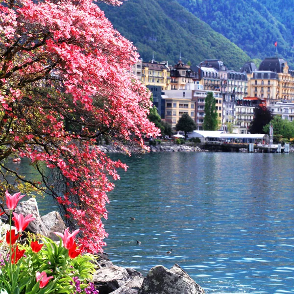 Montreux and  Lake Geneva, Switzerland. — Stock Photo, Image