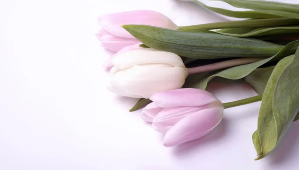 新鲜的花束春天白色和粉红色的郁金香花 — 图库照片